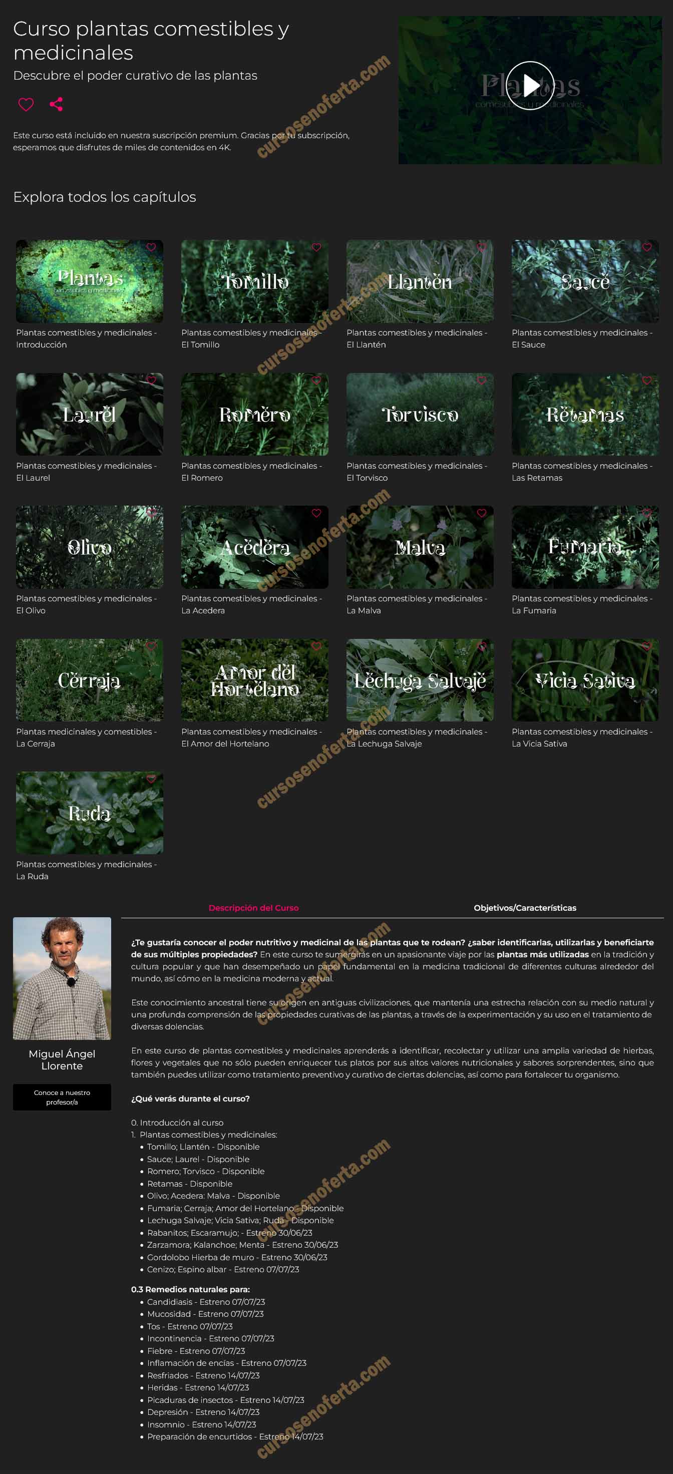 Plantas comestibles y medicinales - Miguel Ángel Llorente