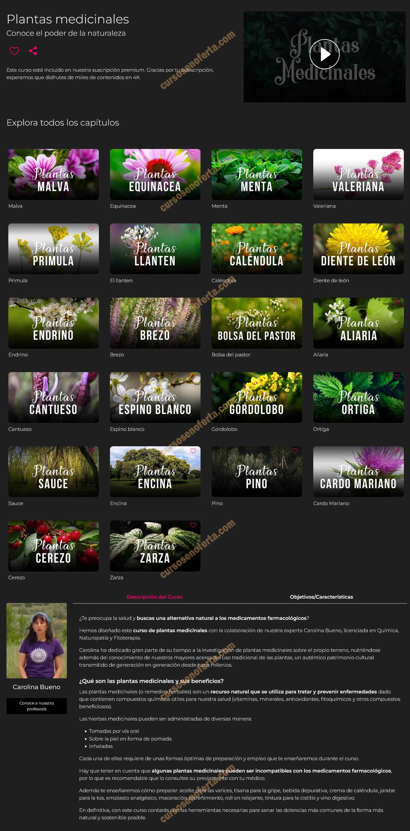 Plantas medicinales - Carolina Bueno