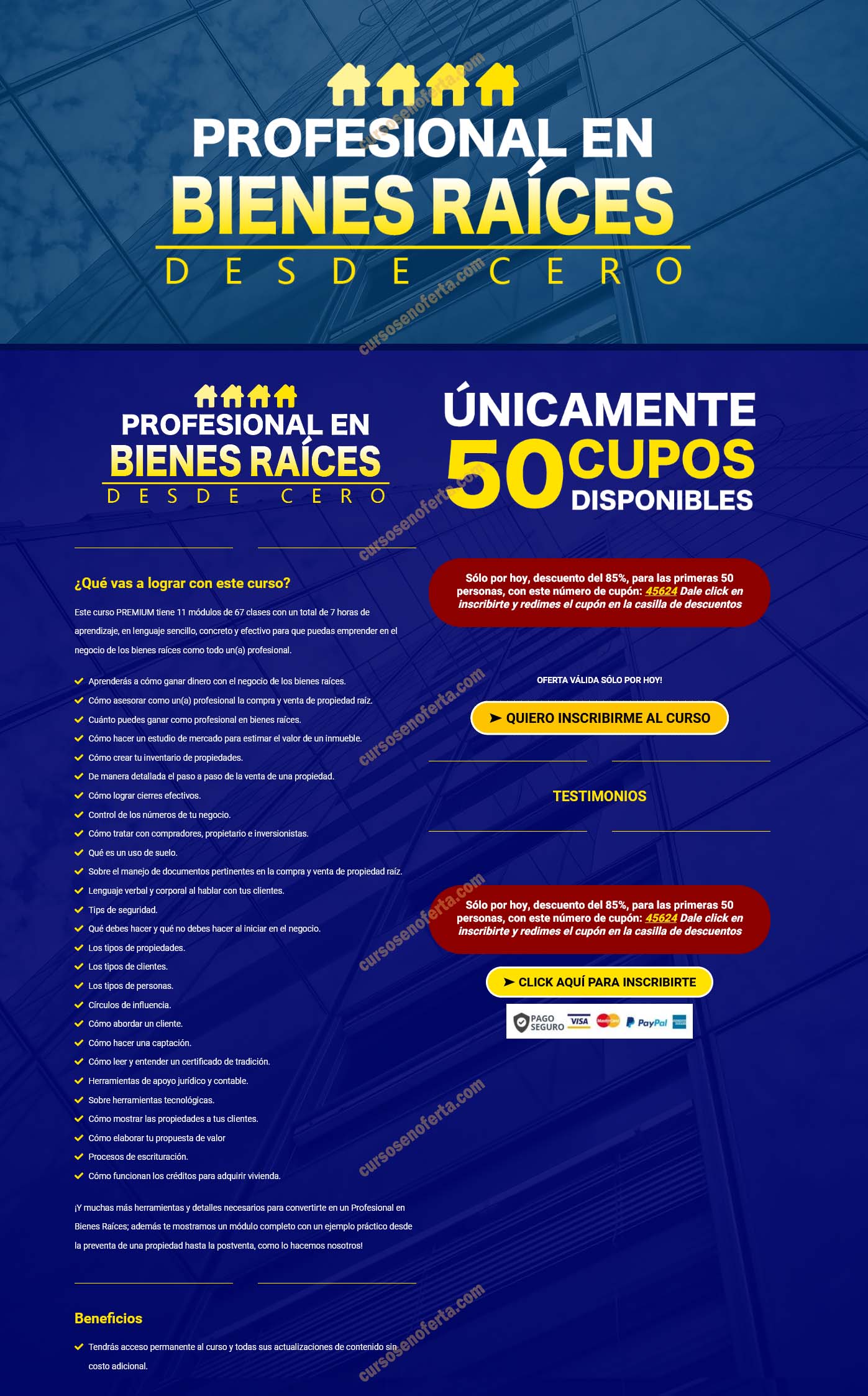 Profesional en Bienes Raíces Desde Cero