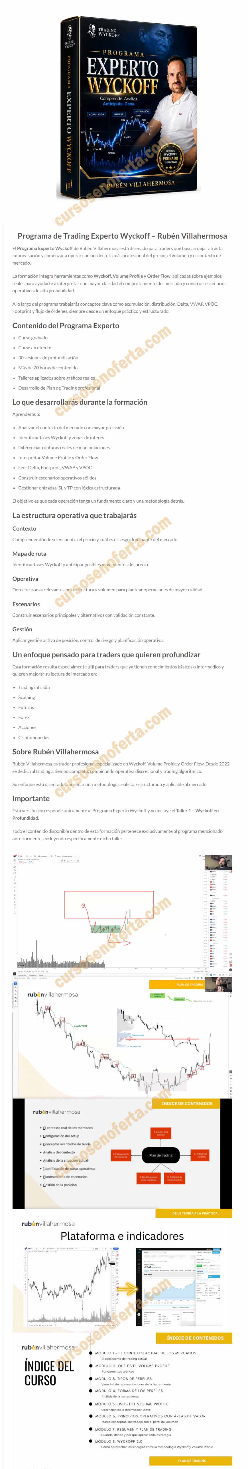 Programa Experto Wyckoff - Rubén Villahermosa