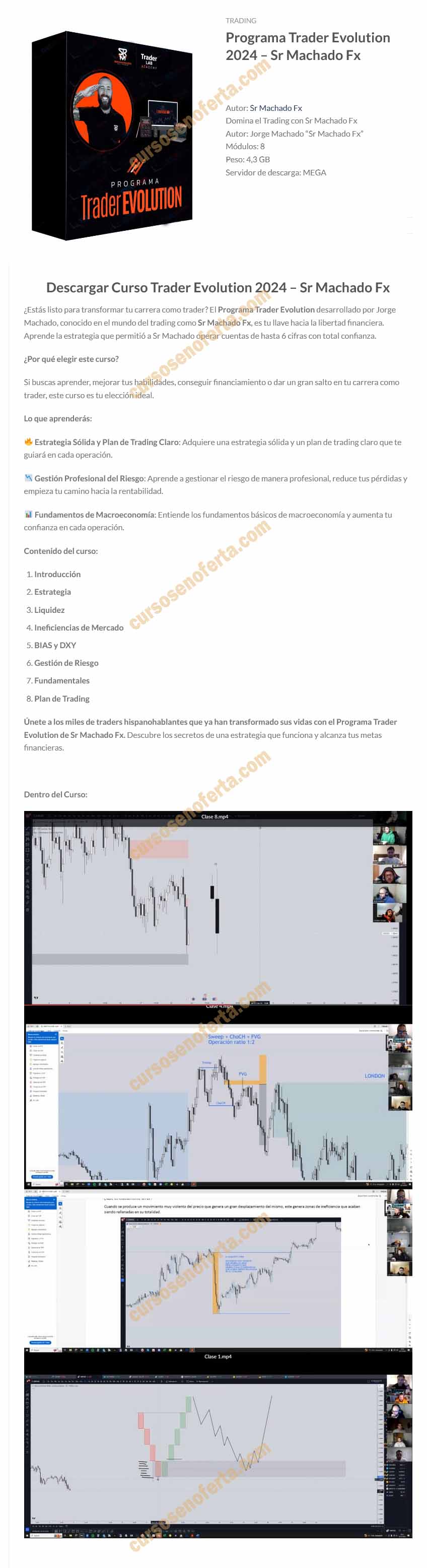 Programa Trader Evolution 2024 - Sr Machado FX