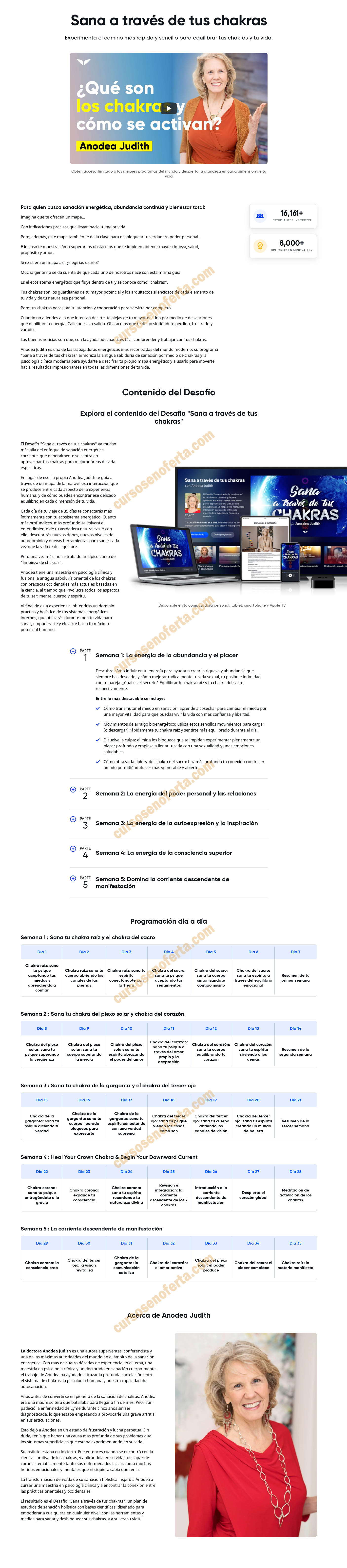 Sana a través de tus chakras