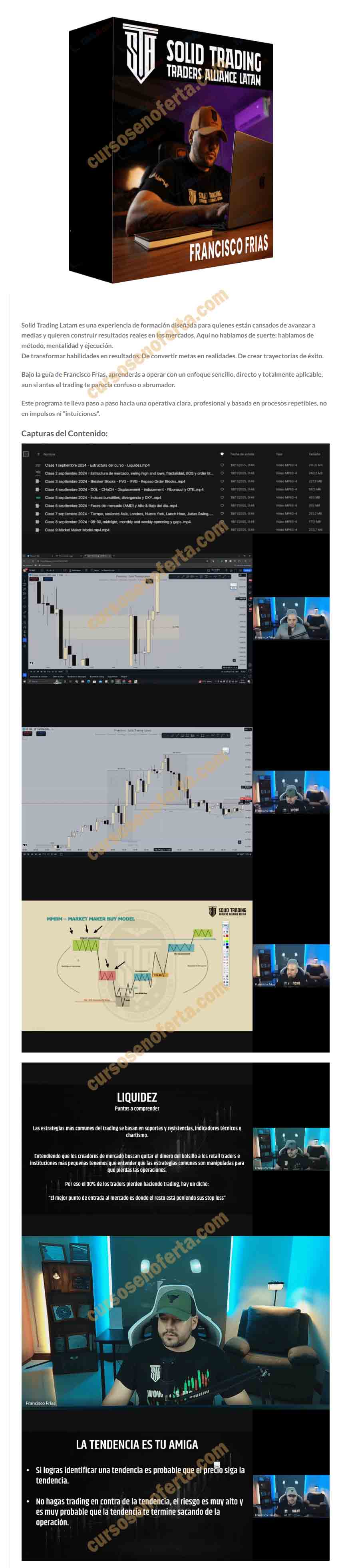 Solid Trading Latam - francisco frias