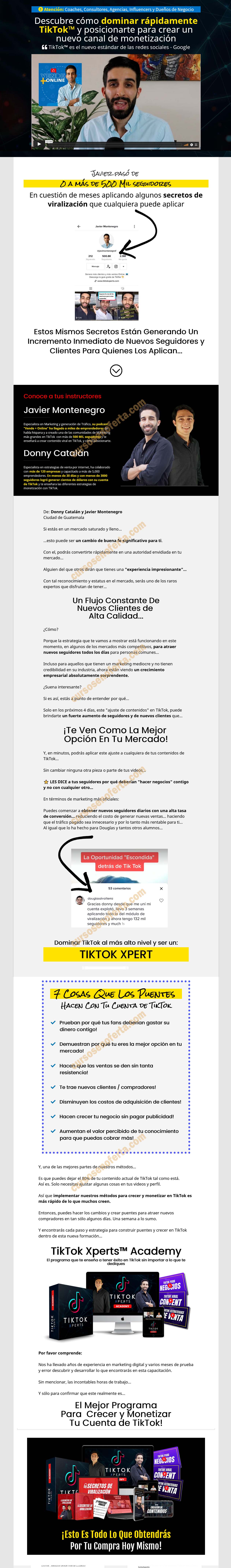 TikTok Xperts - javier montenegro