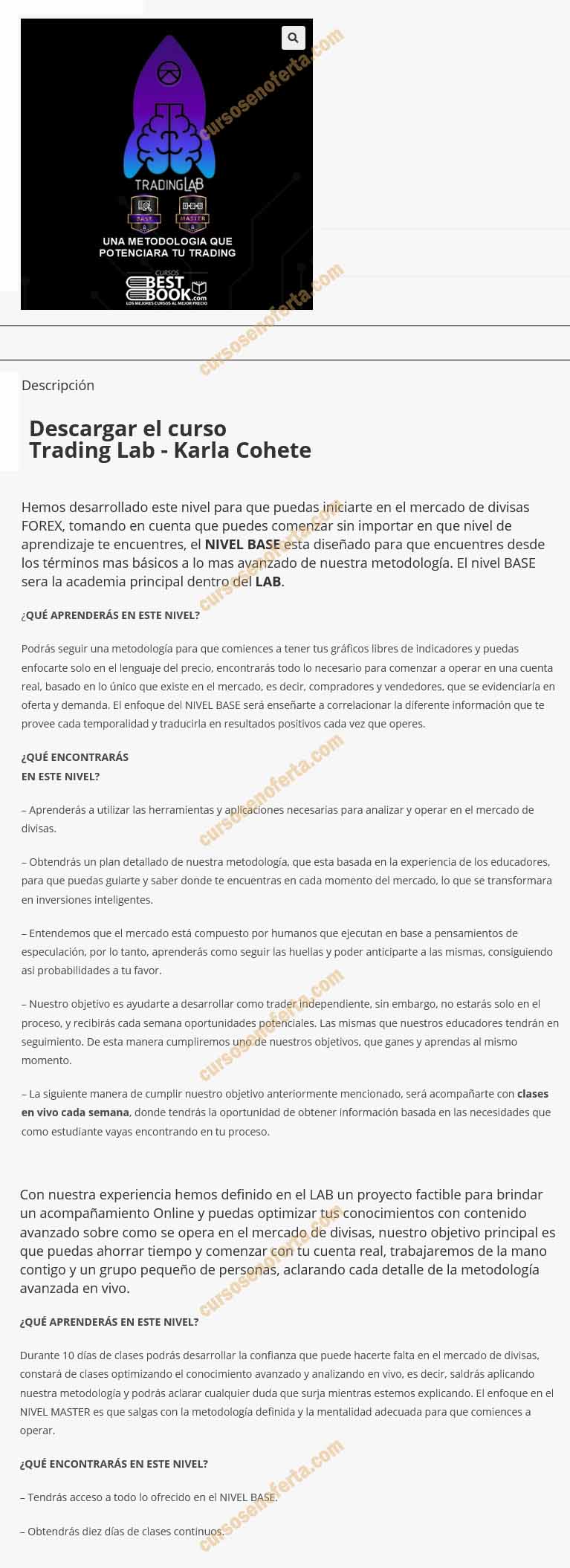 Trading Lab Base - Karla Cohete