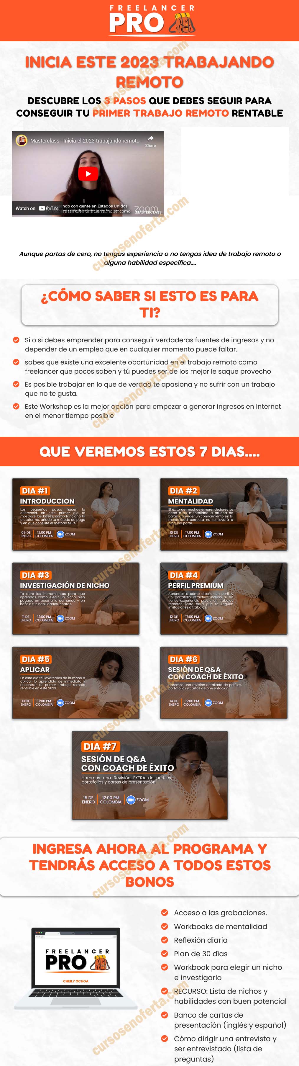 Workshop Freelancer Pro