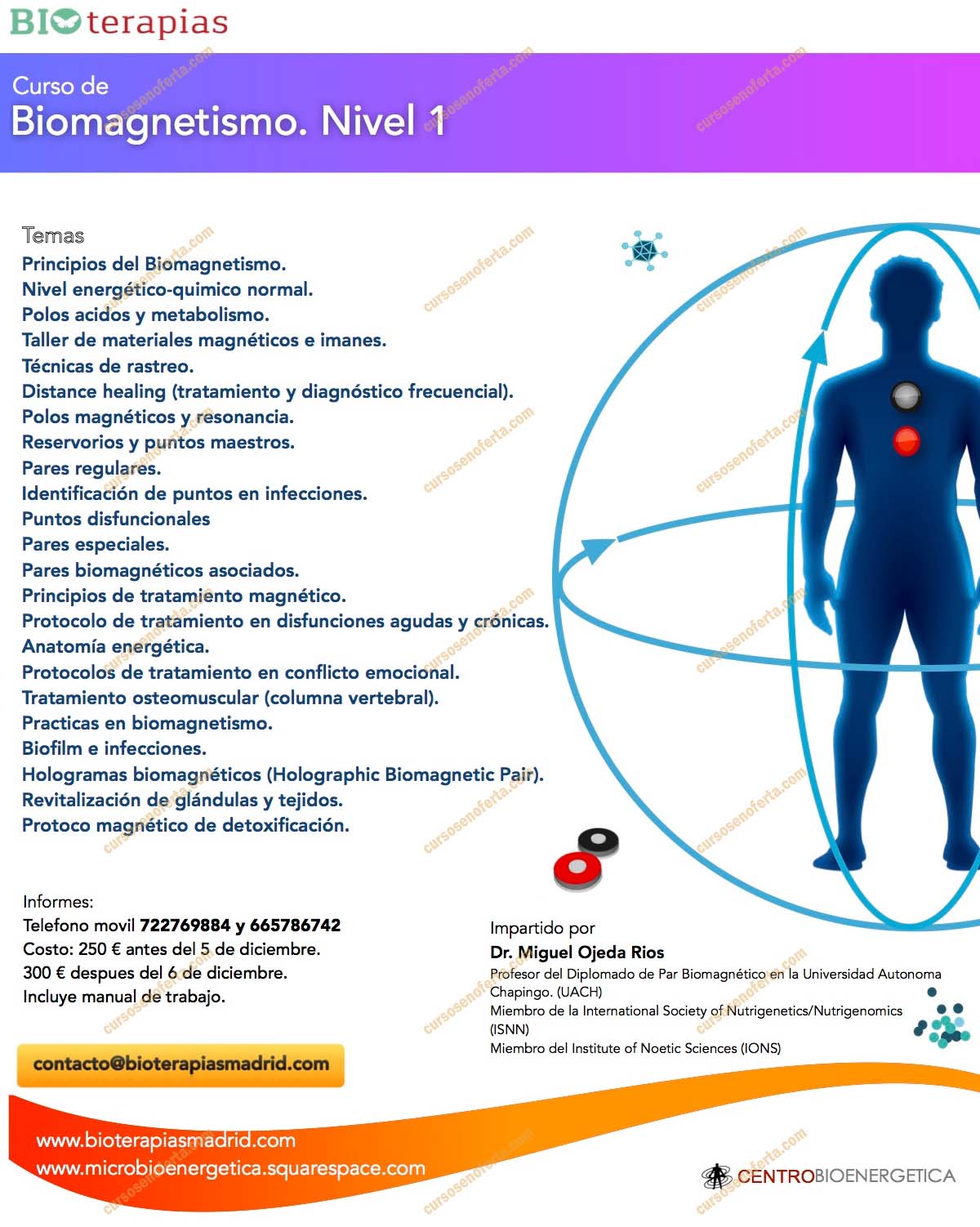 Biomagnetismo Nivel 1 - miguel ojeda