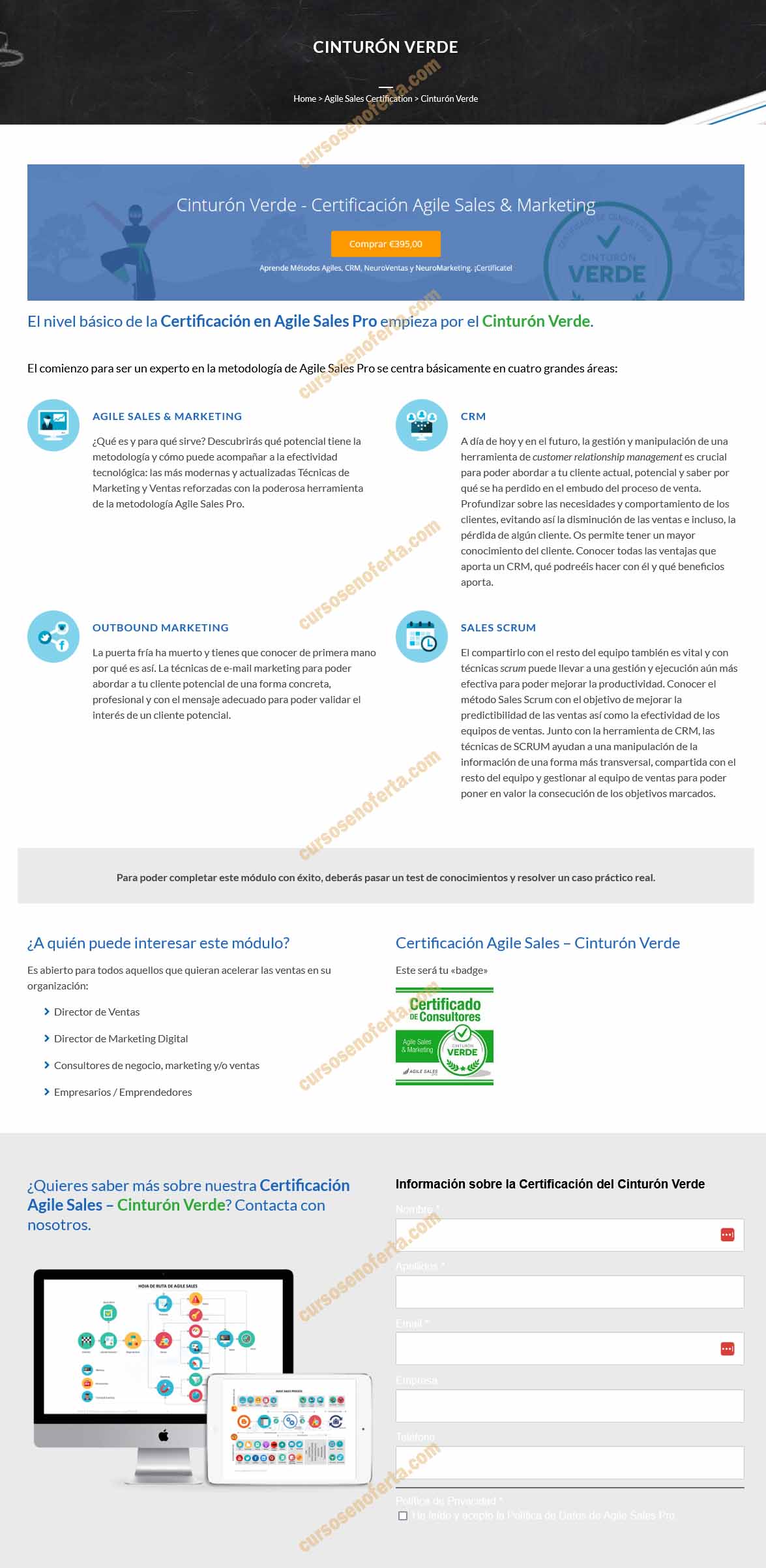 Cinturón Verde Certificación Agile Sales & Marketing