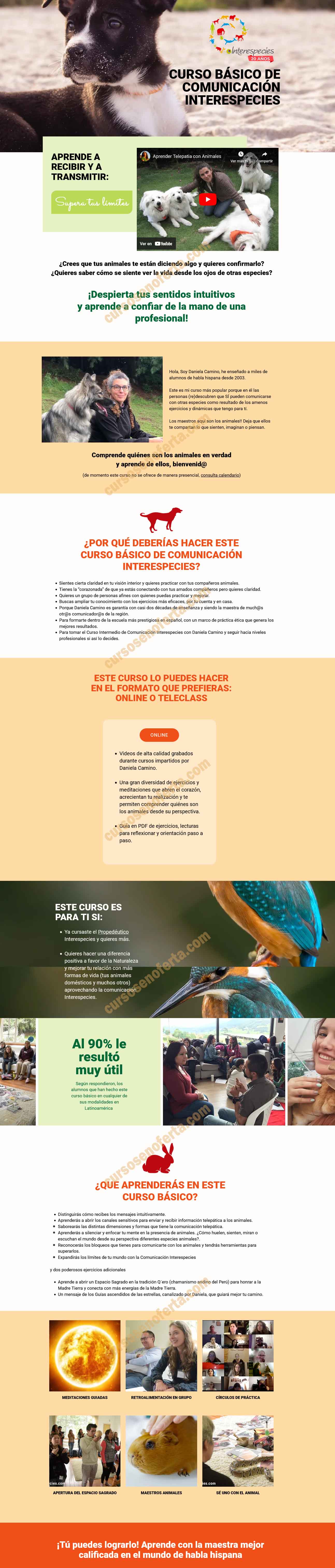 Curso básico de comunicación interespecies