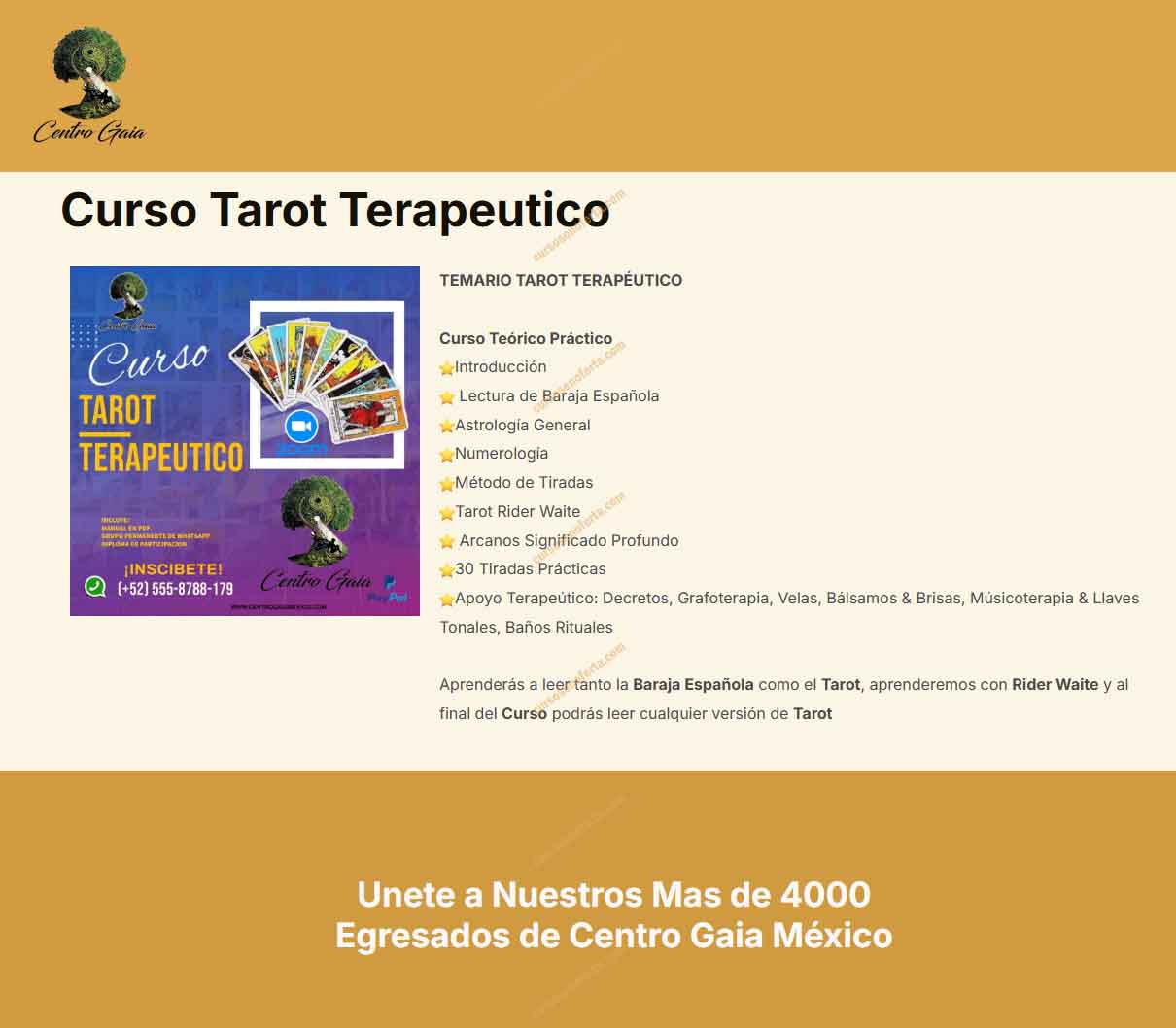 Curso Tarot Terapéutico - centro gaia méxico