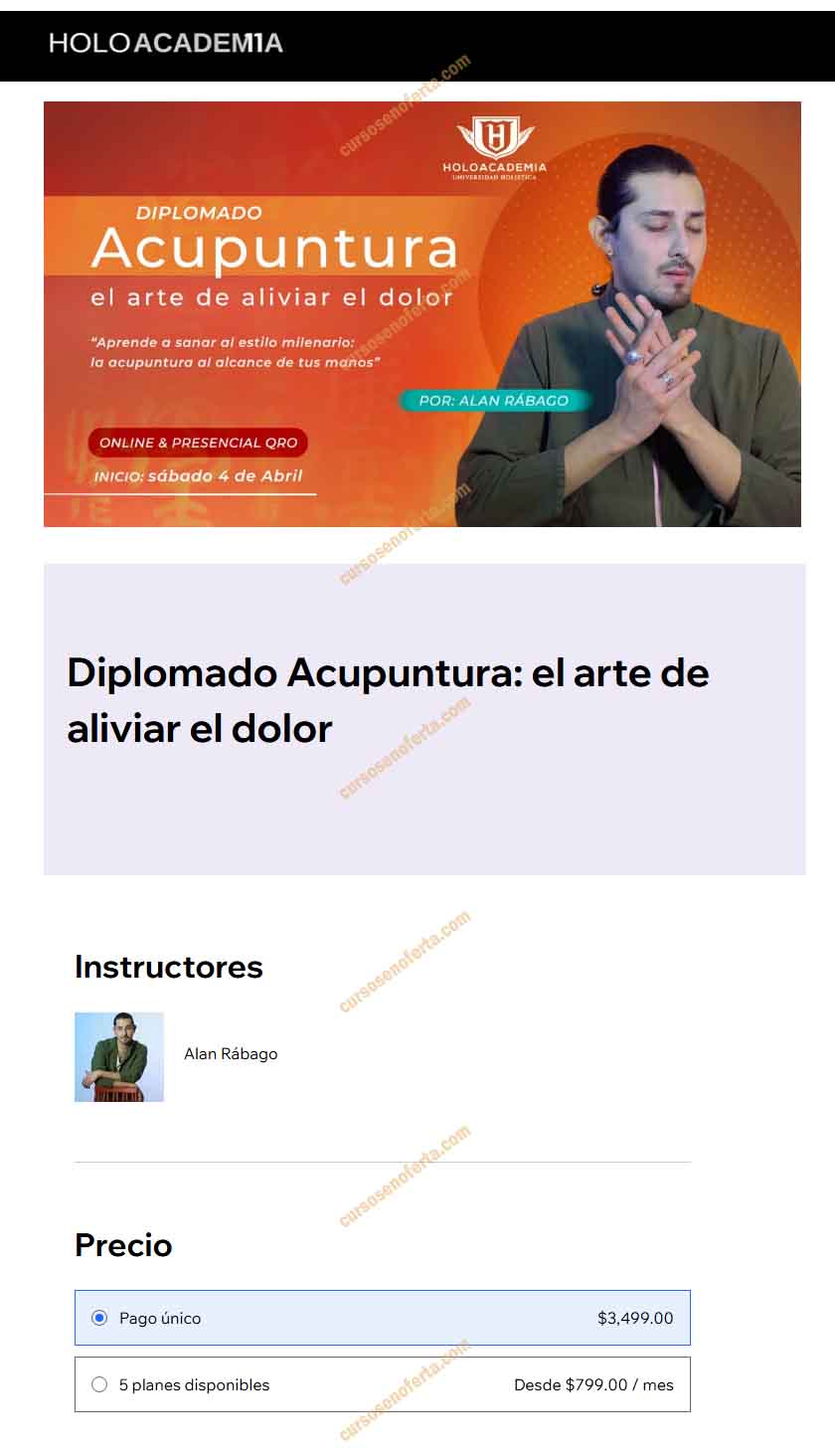 Diplomado Acupuntura el Arte de Aliviar el Dolor - holoacademia