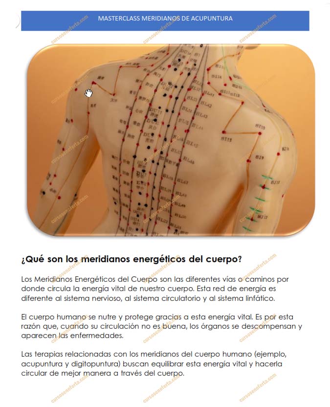 Masterclass Meridianos Energéticos